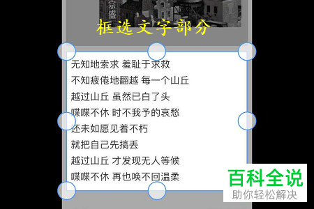 如何借助手机QQ浏览器提取图片上的文字