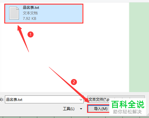 如何将文本数据内容导入Excel表格并设置格式