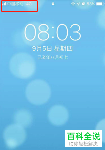 如何解决苹果手机Safari浏览器无法访问网页问题