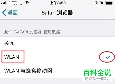 如何解决iPhone手机Safari浏览器无法上网问题