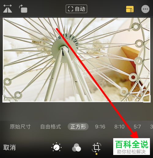 如何将苹果手机iPhone11中照片的形状设置为正方形