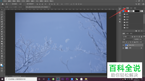如何将PS中的色板变成调色盘?