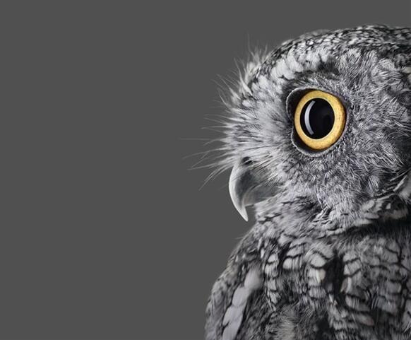 如何解决Win10屏幕字体缩放模糊的问题