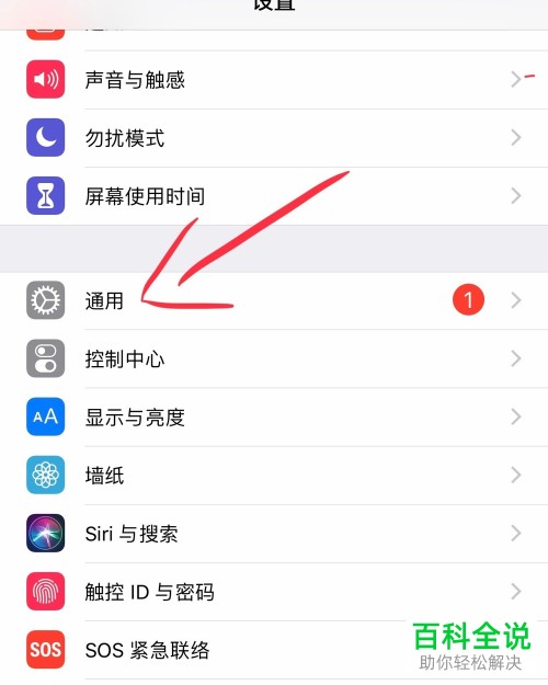 如何快速开启苹果手机中的“自动亮度调节”功能?