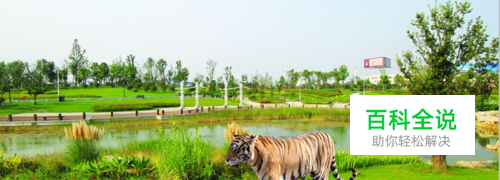 如何抠图？抠图的方法与技巧