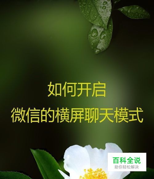 如何开启微信的横屏聊天模式