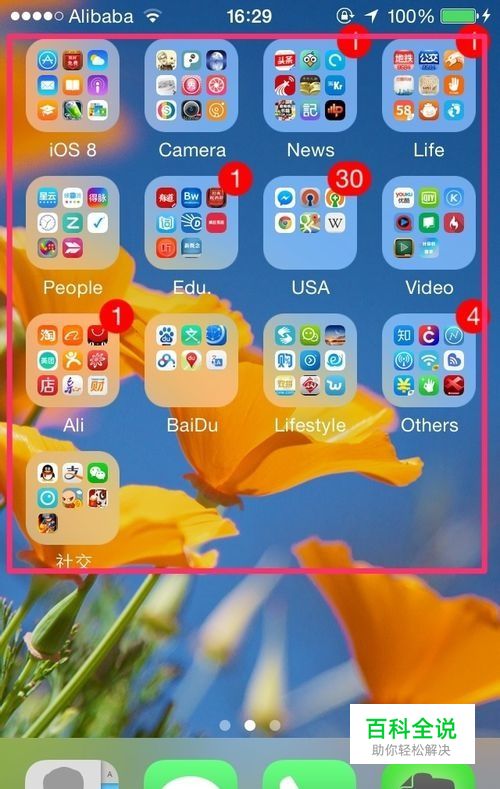 如何快速查看自己的iPhone装了多少个应用程序