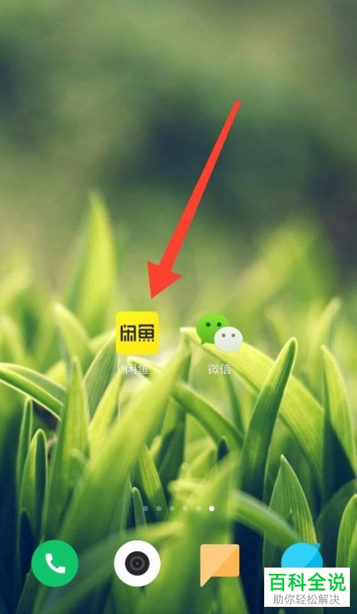 如何开启闲鱼app中的自动回复功能？