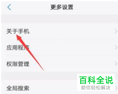 如何开启vivo手机开发者选项