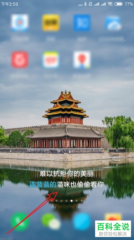 如何开启手机网易云音乐app内的桌面歌词展示功能