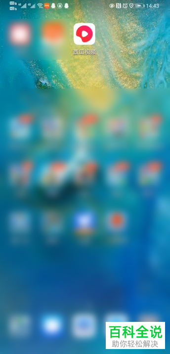 如何开通西瓜视频中的好莱坞VIP会员