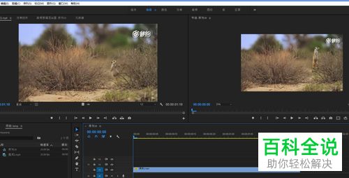 如何利用premiere软件去除视频中的水印