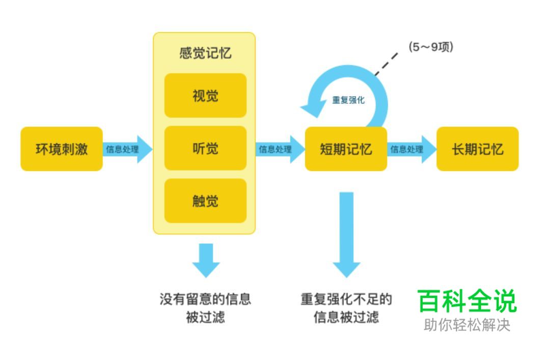 如何利用记忆机制引导用户行为