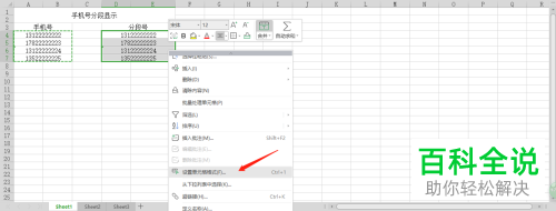 如何利用wps将数字号进行分段
