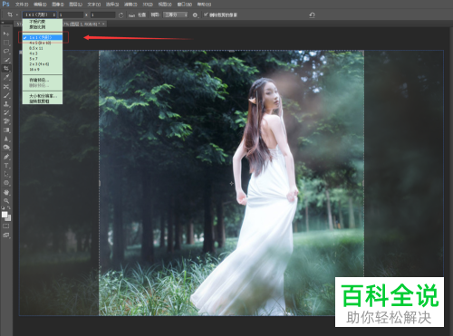 如何利用ps软件将图片制作为九宫格样式
