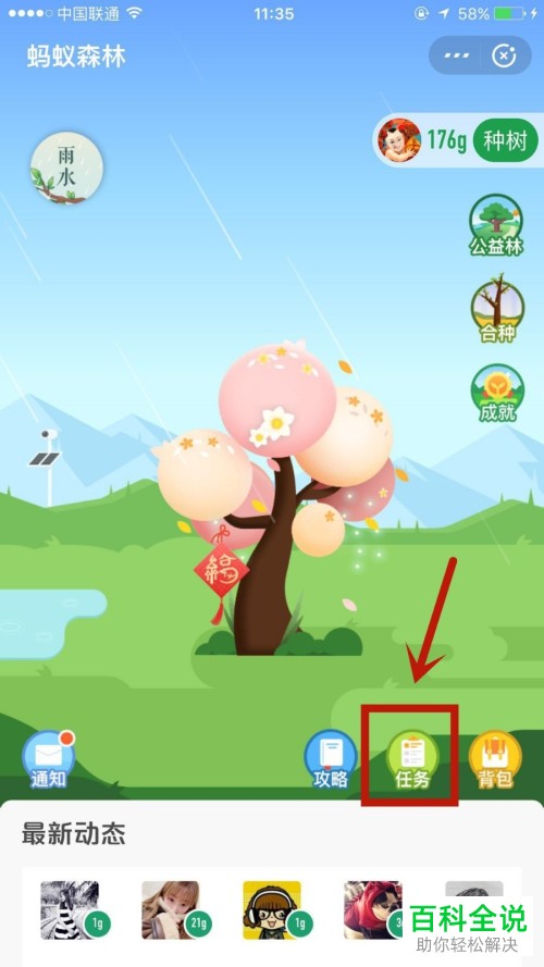 如何领取支付宝蚂蚁森林中的雨水挂件并设置挂上