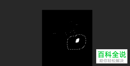 如何利用PS软件将面部油光去除