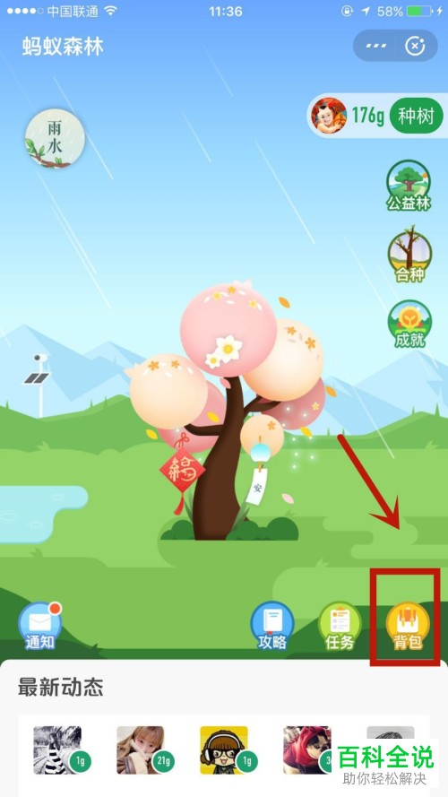 如何领取支付宝蚂蚁森林中的雨水挂件并设置挂上