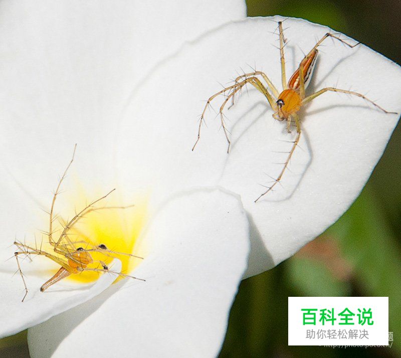 如何利用对比与冲突拍出好照片