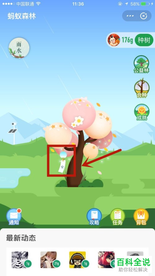 如何领取支付宝蚂蚁森林中的雨水挂件并设置挂上