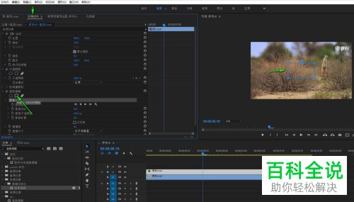 如何利用premiere软件去除视频中的水印