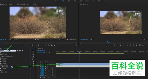 如何利用premiere软件去除视频中的水印