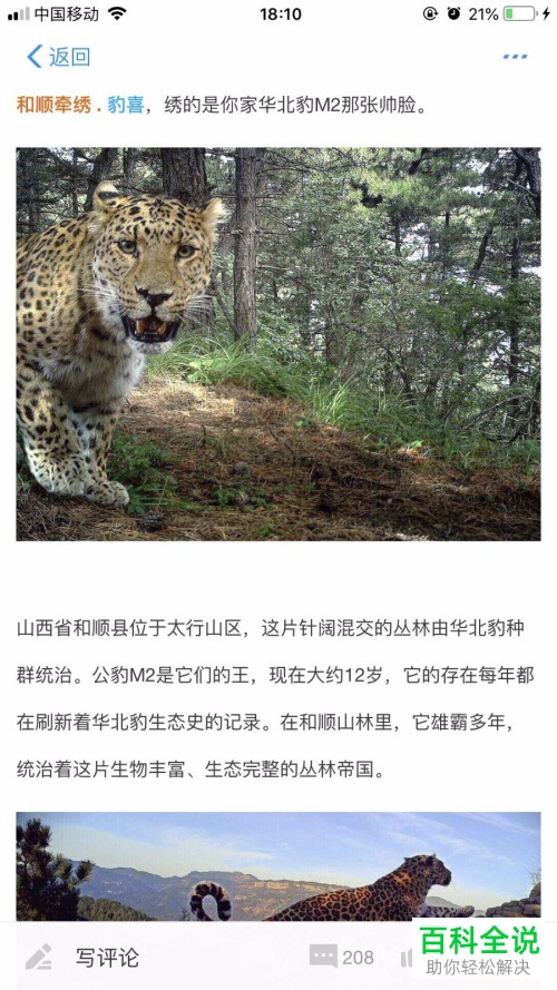 如何领取支付宝蚂蚁森林里的华北豹