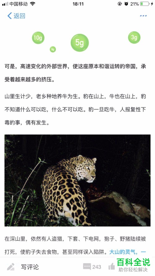 如何领取支付宝蚂蚁森林里的华北豹