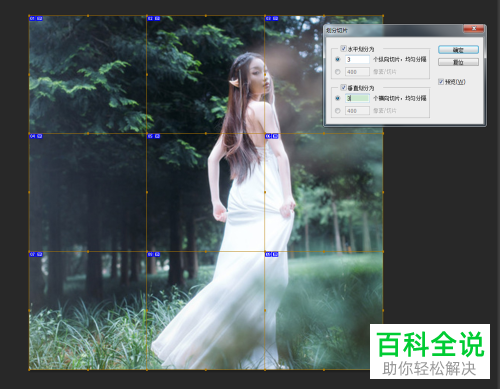如何利用ps软件将图片制作为九宫格样式