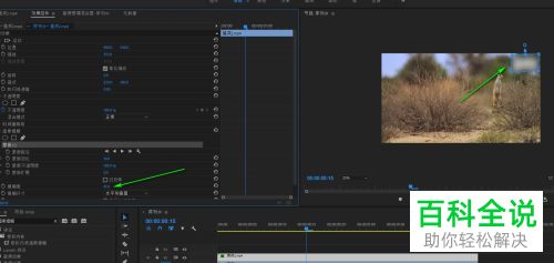 如何利用premiere软件去除视频中的水印