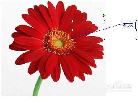 如何利用PPT中的触发器实现标注效果?