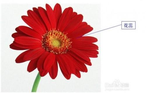 如何利用PPT中的触发器实现标注效果?