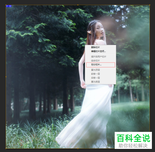 如何利用ps软件将图片制作为九宫格样式