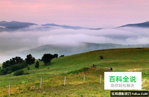 如何拍出“梦中仙境” 雾气拍摄技巧全攻略