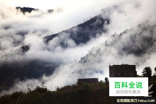 如何拍出“梦中仙境” 雾气拍摄技巧全攻略