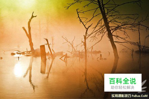 如何拍出“梦中仙境” 雾气拍摄技巧全攻略