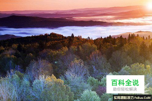 如何拍出“梦中仙境” 雾气拍摄技巧全攻略