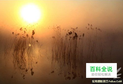 如何拍出“梦中仙境” 雾气拍摄技巧全攻略