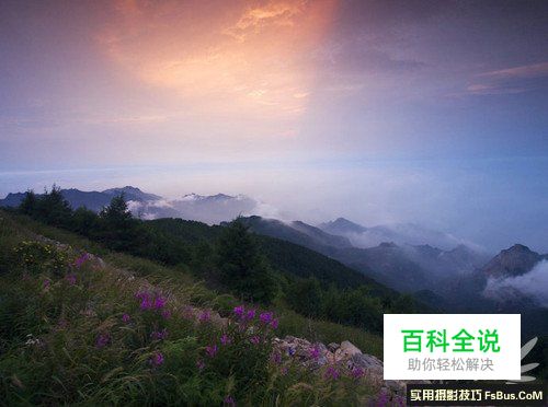 如何拍出“梦中仙境” 雾气拍摄技巧全攻略