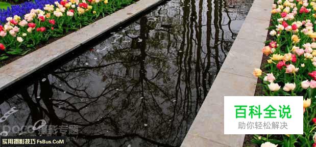 如何拍摄出更理想的特殊光影作品