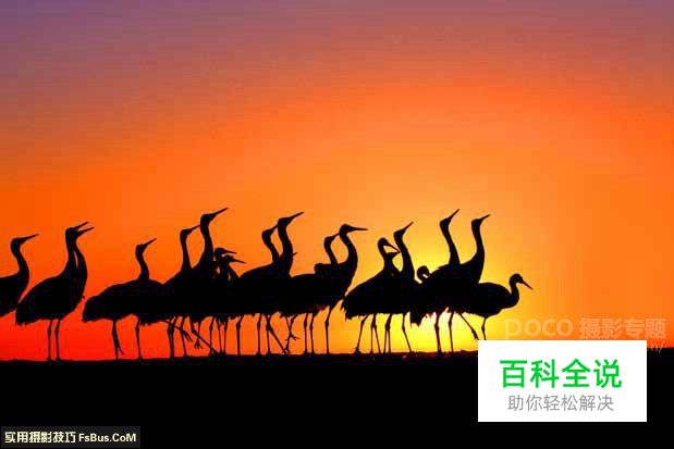 如何拍摄出更理想的特殊光影作品