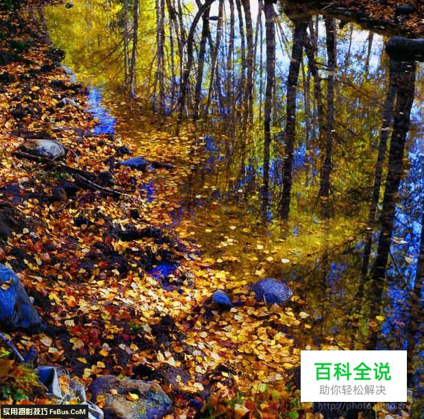 如何拍摄出更理想的特殊光影作品