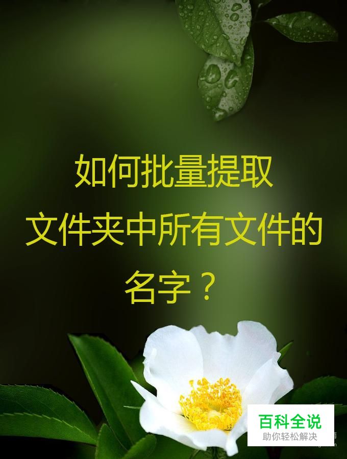 如何批量提取文件夹中所有文件的名字？