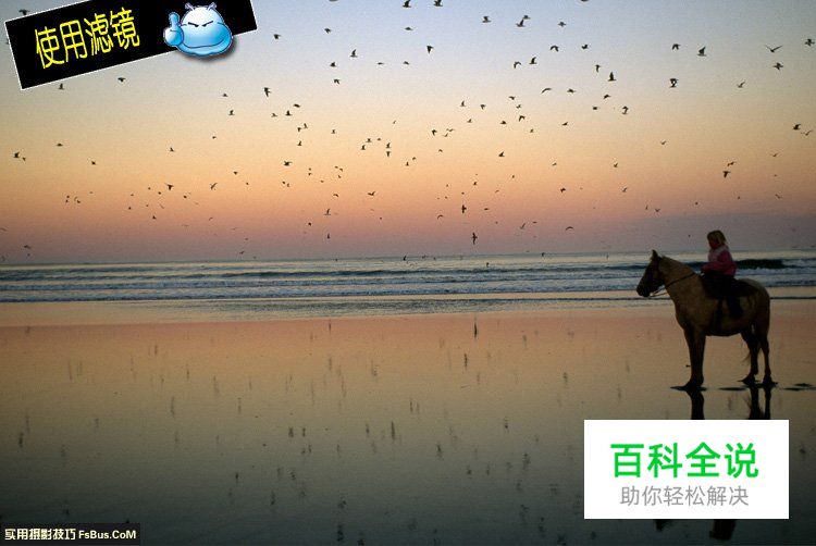 如何拍出有创意的倒影照片