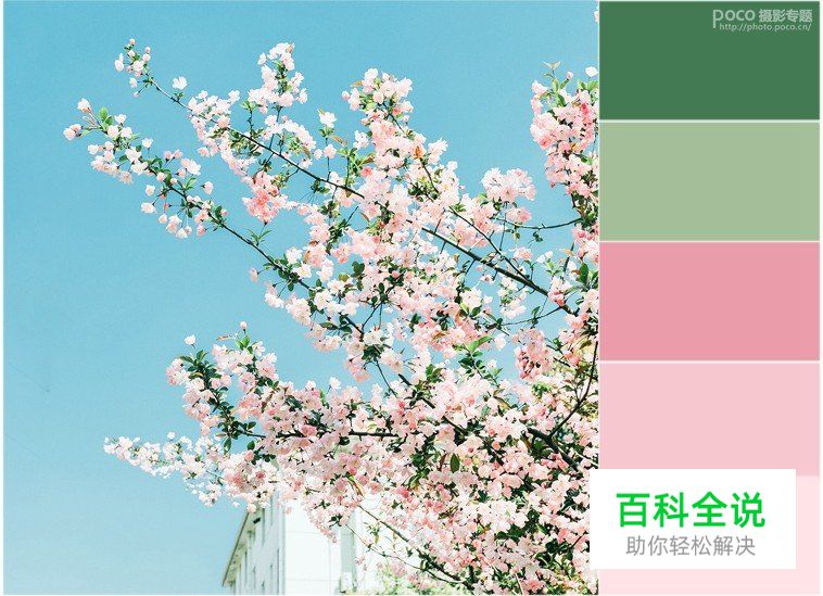 如何拍出好看的清新静物照