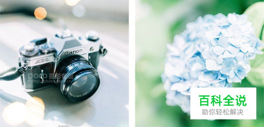 如何拍出好看的清新静物照