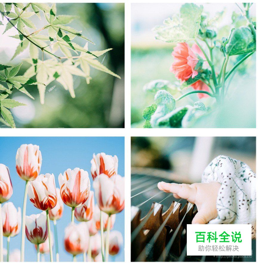 如何拍出好看的清新静物照