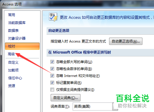 如何启用Access显示动画功能