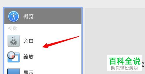 如何启用mac电脑设置缩放时的文本悬停功能