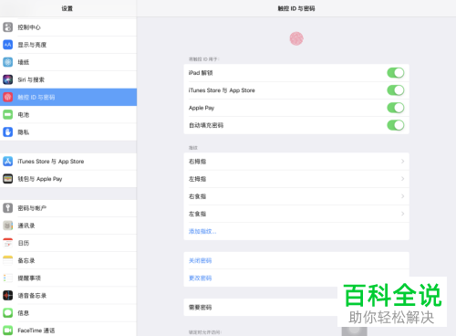 如何启用iPad自动填充密码功能